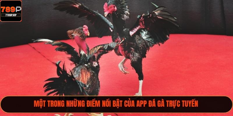 Một trong những điểm nổi bật của app đá gà trực tuyến