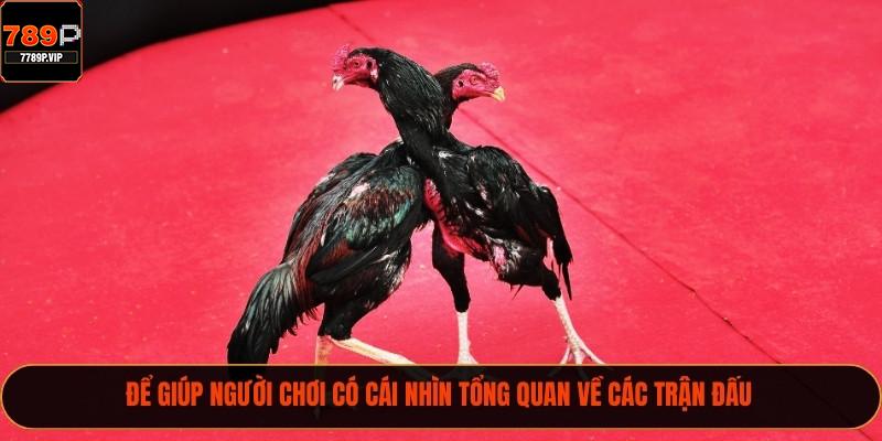 Để giúp người chơi có cái nhìn tổng quan về các trận đấu