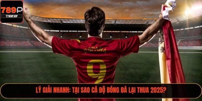 cá độ bóng đá