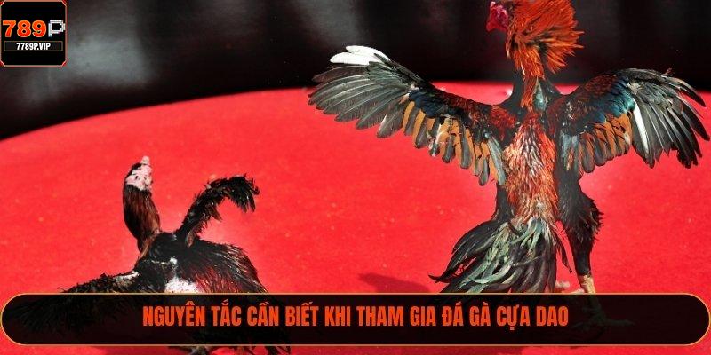 Nguyên tắc cần biết khi tham gia đá gà cựa dao