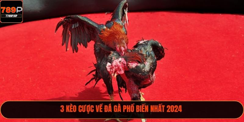 3 kèo cược về đá gà phổ biến nhất 2024 