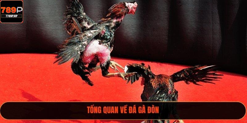 Tổng quan về đá gà đòn