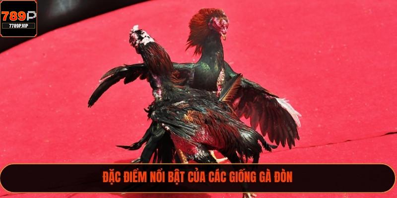 Đặc điểm nổi bật của các giống gà đòn