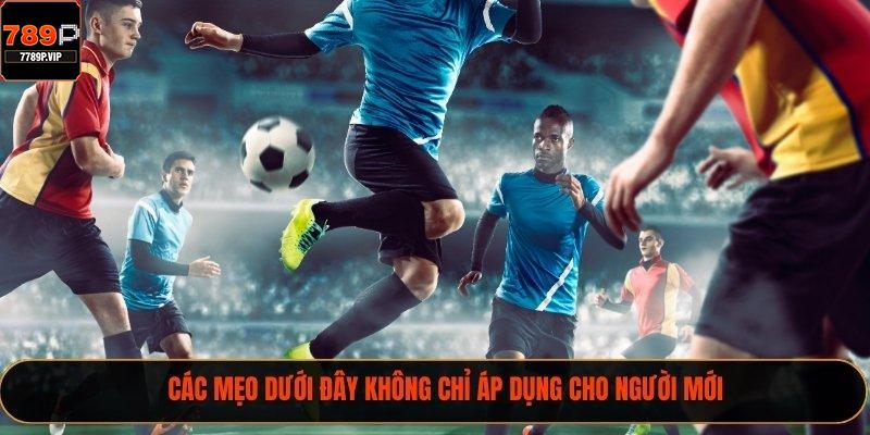 Các mẹo dưới đây không chỉ áp dụng cho người mới