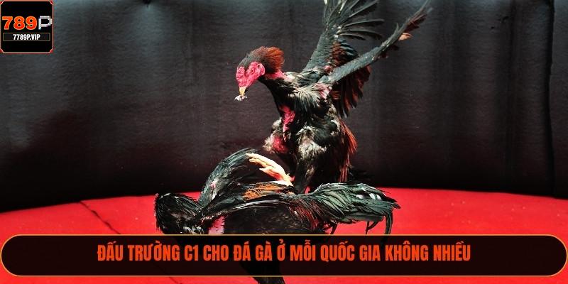 Đấu trường C1 cho đá gà ở mỗi quốc gia không nhiều