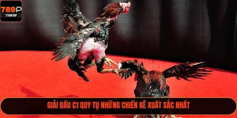 Giải đấu C1 quy tụ những chiến kê xuất sắc nhất